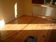 specialist in floor rennovation